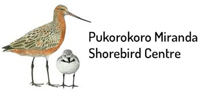 Pūkorokoro Miranda Shorebird Centre